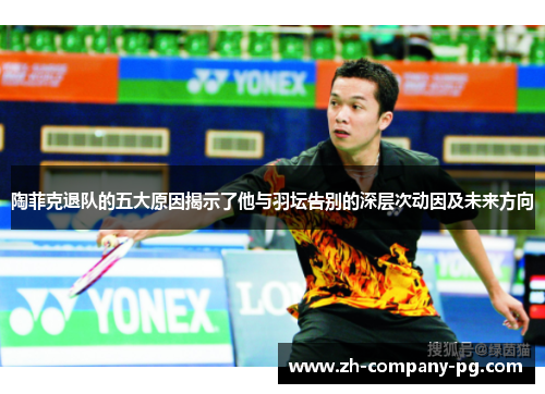 陶菲克退队的五大原因揭示了他与羽坛告别的深层次动因及未来方向