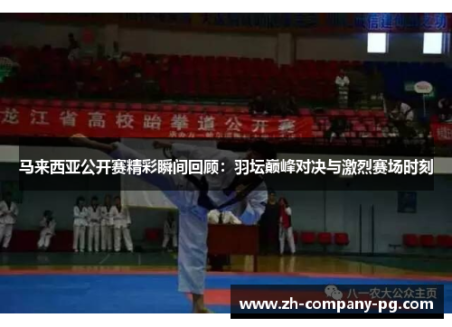 马来西亚公开赛精彩瞬间回顾：羽坛巅峰对决与激烈赛场时刻