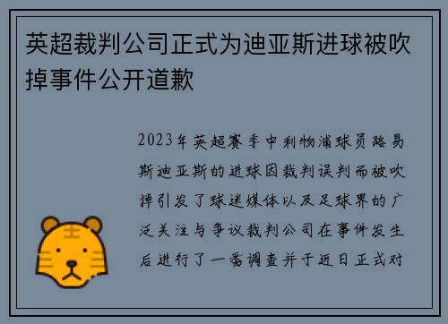 英超裁判公司正式为迪亚斯进球被吹掉事件公开道歉